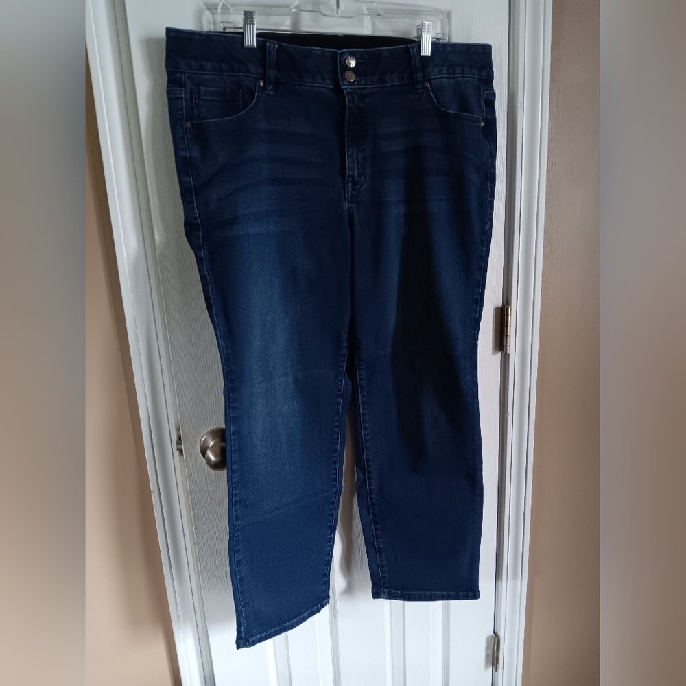Lane Bryant Straight Leg Jeans 20xs